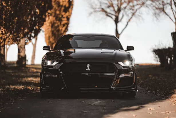 Casino Golden Palace Android/iOS Forrit